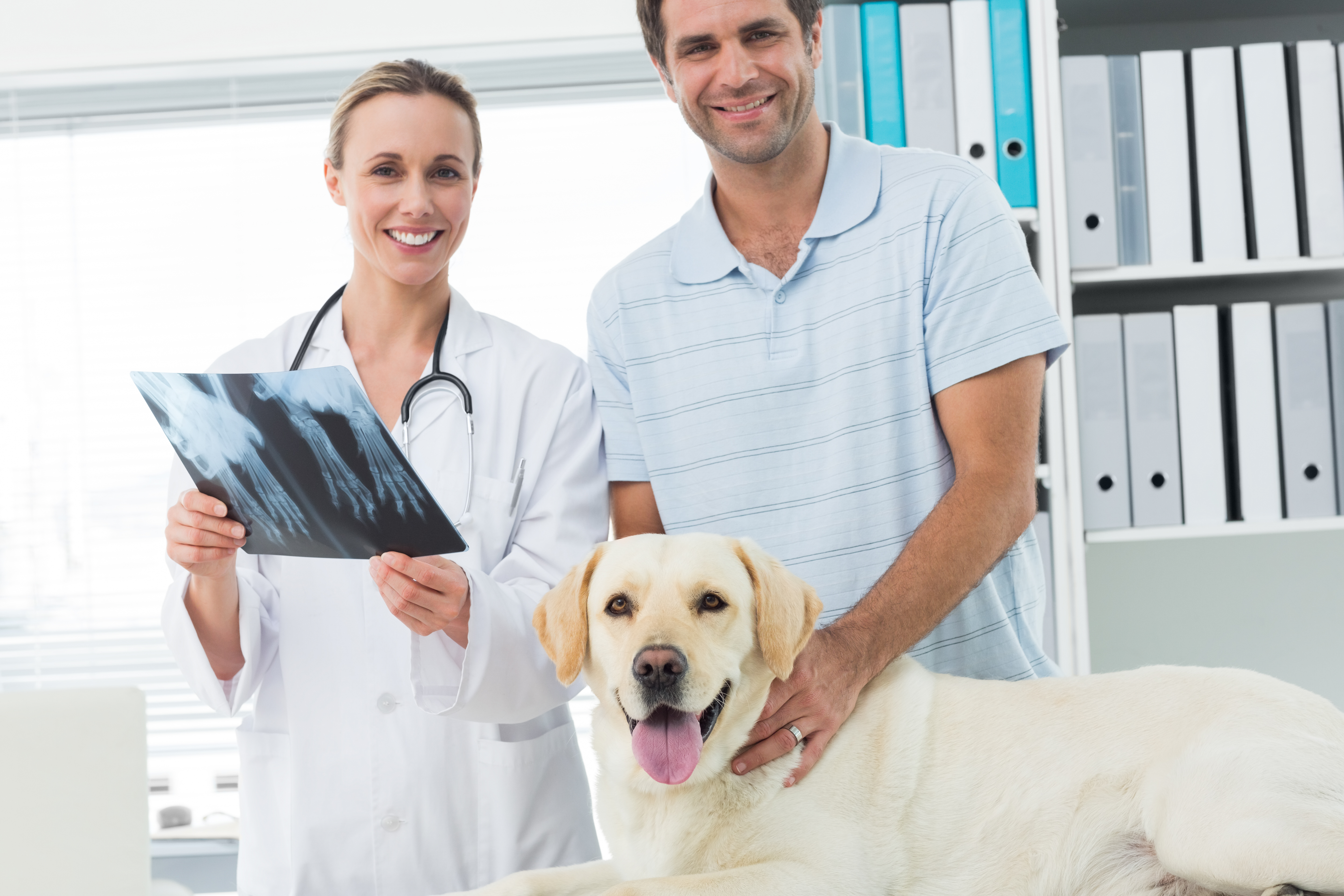 Our veterinarians in Duarte Azusa Animal Hospital provide in-house pet radiology, pet ultrasound, pet x-ray, and pet lab services.